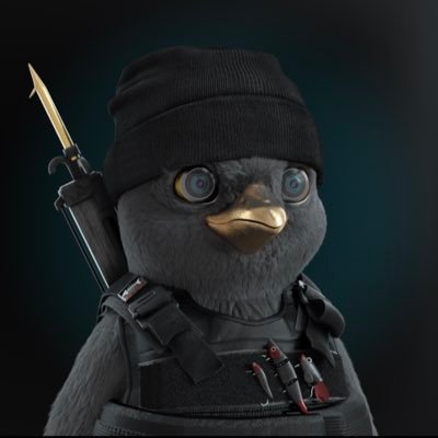 Ben010406's profile picture. 