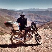 nicob 🦇🔊🦎 (@nicobevi2023) 's Twitter Profile