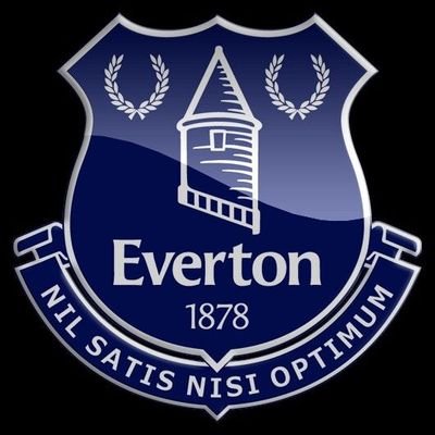 Complain about Everton a lot but love them to bits. STH in Top Balcony, and from August 2025 it will be the West Stand!