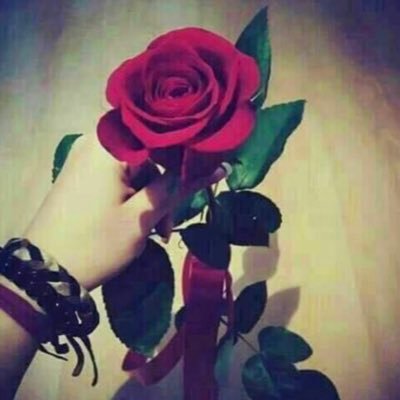أنا لازلت أتعلم مهما تقدمت في خطواتي فأنا لا زلت طالبة في مدرسةالحيااااة. . (غذِ قلبك بالأيات … وغذِ عقلك بالرياضيات)