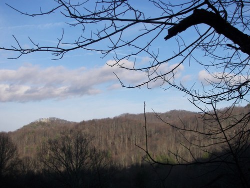 Patty_Park's profile picture. 