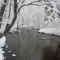 Joel E. Turner (@joeleturner1) 's Twitter Profile