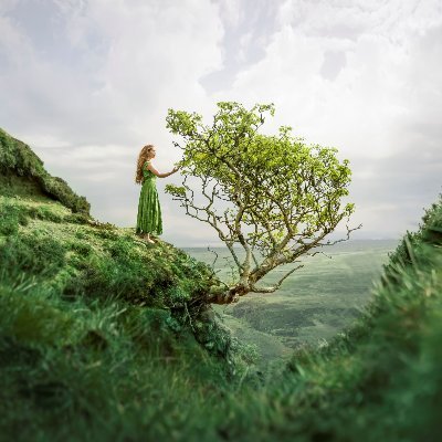 elizabethgadd Profile Picture