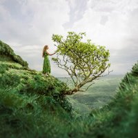 Elizabeth Gadd (@elizabethgadd) Twitter profile photo