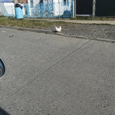 MissBlackSang's profile picture. Ingeniero, Mami de dos hermosos hijos 👶🤰 y esposa 👩‍❤️‍💋‍👨