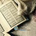 Área de Estudios Árabes e Islámicos - Unizar (@arabe_unizar) Twitter profile photo Área de Estudios Árabes e Islámicos - Unizar (@arabe_unizar) Twitter profile photo