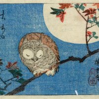 Bahadin H. Kerborani (@bahadinhawar) Twitter profile photo