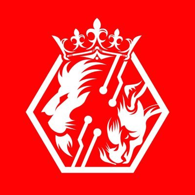 metacat_turkey's profile picture. 