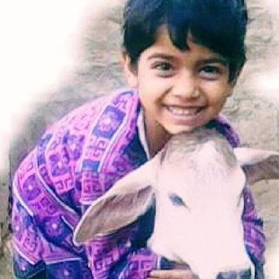 bhimgorya's profile picture. साच्चा सत गुरु पुर्णबर्ह्म सत गुरु रामपाल जी महाराज 
कबीर करतार ये है कुल के शरजंनहार