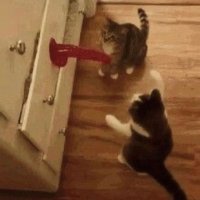 d (@demwashere) 's Twitter Profile