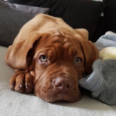 hmpmehlem's profile picture. 