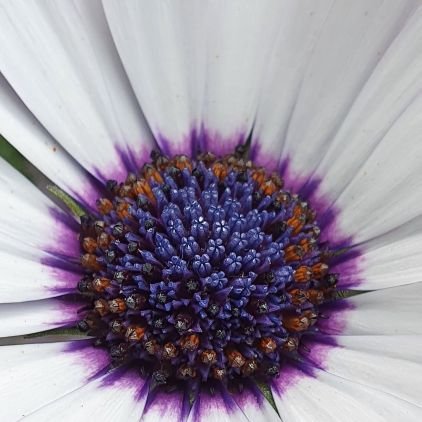 joodeey018's profile picture. ‏‏‏‏‏‏‏‏باحثة دكتوراه في الفلسفة في تعليم الرياضيات