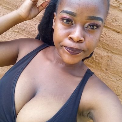 ComfyMutarini's profile picture. her heart bloomed sunflowers so she would always face the light🌻