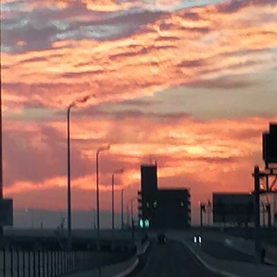 d1yx69no2yjVWHe's profile picture. 世界平和