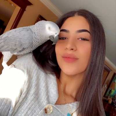 pamelamajdalani's profile picture. You will never win if you never begin.