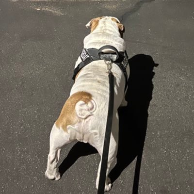 drkgard's profile picture. Regular dude.