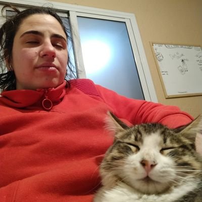 el nombre no puede estar en blanco Profile