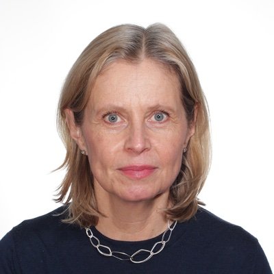 Associate professor of political science at Gothenburg university and co-editor of the ISA journal Foreign Policy Analysis