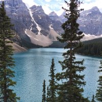 Yasir (@alanaziya) Twitter profile photo