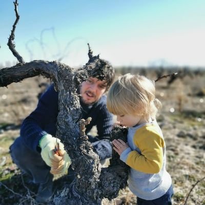 elPetter_'s profile picture. 