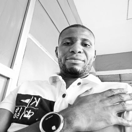 KabeyaBk's profile picture. Économiste, Analyste politique, Entrepreneur.