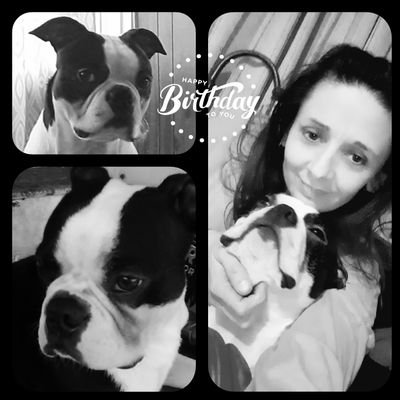 I am DAY DAYS Momma and he is mommas boy. the best Boston Terrier although he has no idea he is a dog. We❤Dean and yes unhealthy obsession w/Supernatural. lol.