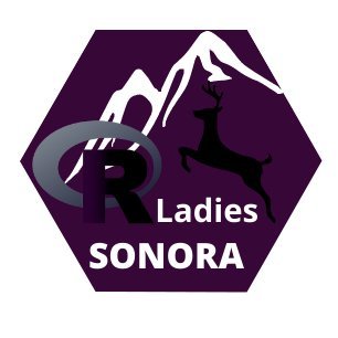 R-Ladies Ciudad Obregón, es parte de una organización mundial,que busca generar competencias tecnológicas en las mujeres, en el lenguaje R, preferentemente.