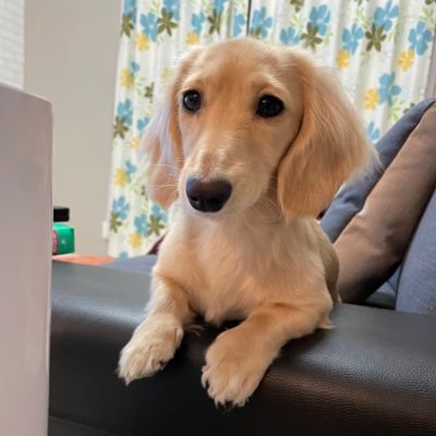ウンボボさんのプロフィール画像