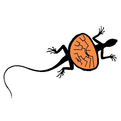 Herp obsessed🦎🐍🐸🐢| INSPIRE Faculty Fellow, Centre for Ecological Sciences, IISc | Fulbright Alum @UofAEEB | colsci | macroecology | macroevolution