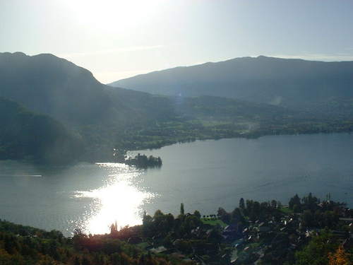 Didier Sarda Profile