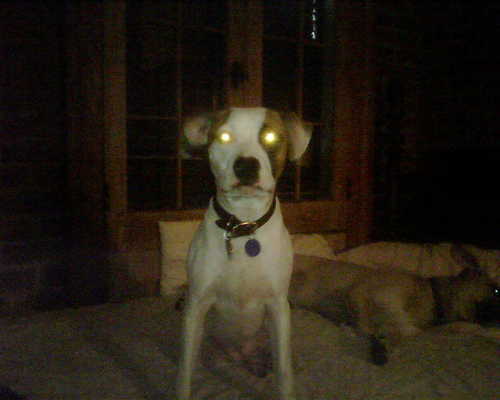 kaynine82's profile picture. a hyphenate surfing life/Views my own/Bury me standing for I’ve been on my knees all my life-Romani proverb