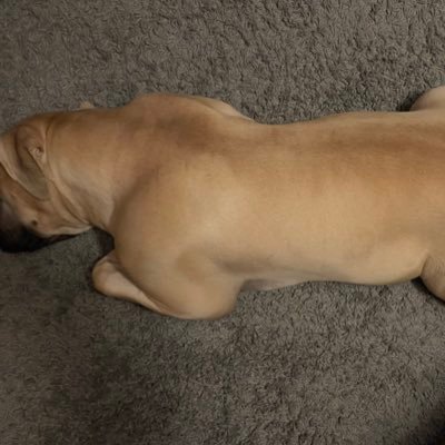 THook79's profile picture. staying away from all things related to COVID-19! this includes hating, ugliness inside/out bad attitudes, and bad human air