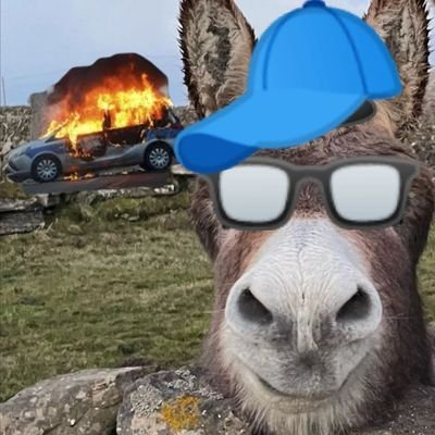 uahabeschmerzen Profile Picture