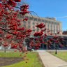 ROC_CMSR's profile picture. The Center for Musculoskeletal Research in Rochester, NY, is home for faculty and trainees from several @UofR departments studying everything Musculoskeletal