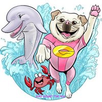 Surf Gidget The Pug ®️(@GidgetsFanPage) 's Twitter Profileg