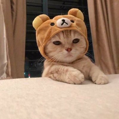 pecj_fr's profile picture. nah