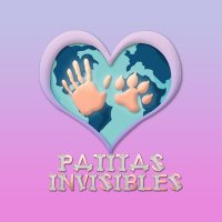 PATITAS INVISIBLES(@PATITASINVISIB1) 's Twitter Profile Photo