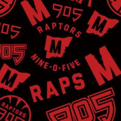 Official account of the Raptors 905 PR team. This account is limited to media - fans please follow @Raptors905