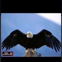 sirkecikom (@sirkecikom) Twitter profile photo