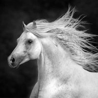 mohamed hossam (@m_sugar20) Twitter profile photo