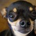 Rebecca Miller (@rebecca46591911) Twitter profile photo Rebecca Miller (@rebecca46591911) Twitter profile photo