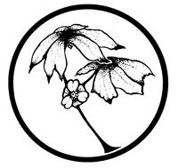 Mayapple Press Profile