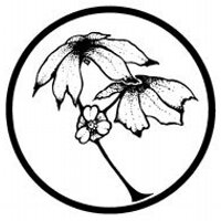Mayapple Press (@mayapplepress) 's Twitter Profile