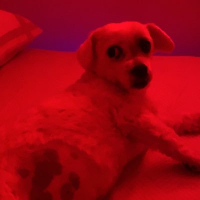 dudmtt_'s profile picture. eu não sou difícil de ler