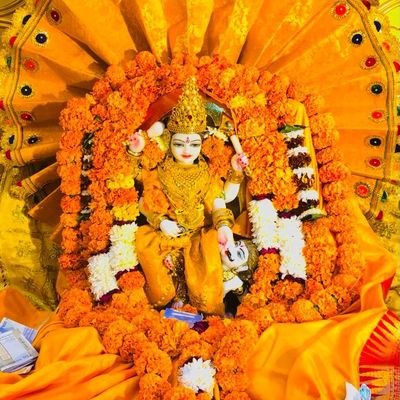 shivkumardwive9's profile picture. 