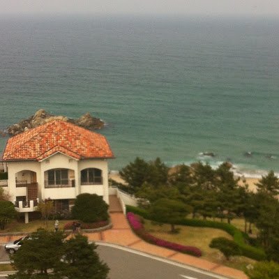 ipapa_lee's profile picture. 새로운 세상은 결코 가볍게 오지 않는다