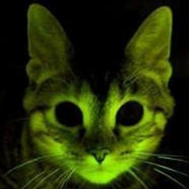 0Q6NFIA5vRrFEcP's profile picture. 