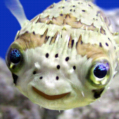 TruJimR546673's profile picture. Here to share my opinions.  I'm not here for meet and greet or idle chat.  Everyone gets my respect...  until they prove otherwise.