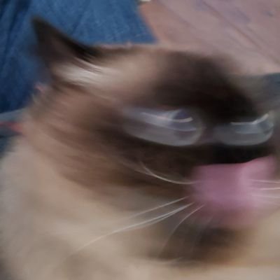 Ruddfuckers1's profile picture. Twistin grips, packin dips, and touchin tips.