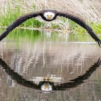 GODDFATHER321's profile picture. 